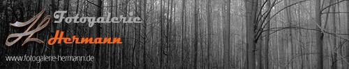 fotogalerie-hermann.de Markus Hermann