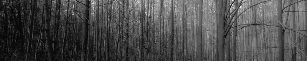 Wald